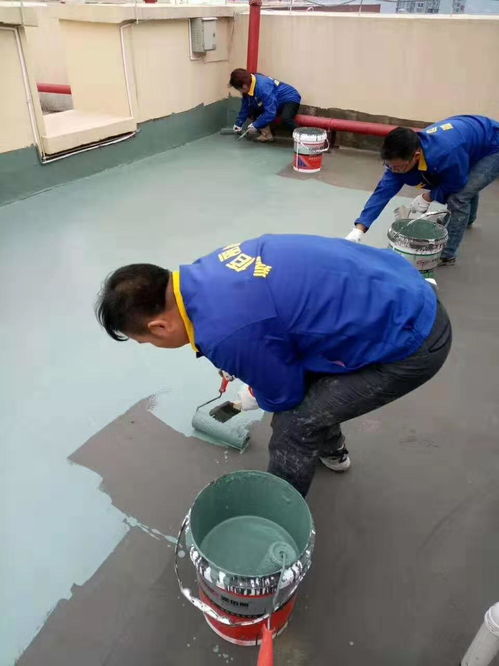 工廠直供 解鎖屋頂防水涂料與縫隙補(bǔ)漏材料的高性價(jià)比之選